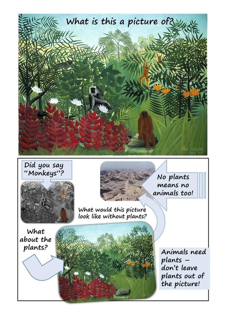 One week until Fascination of Plants Day! | Plant Biology Teaching Resources (Higher Education) | Scoop.it