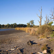 Baked Australia: Water Management Lessons for the World from Down Under | Curtin Global Challenges Teaching Resources | Scoop.it
