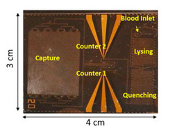 Credit Card-Sized Chip Diagnoses HIV and Provides T Cell Counts on the Spot | Immunology Diagnosis | Scoop.it