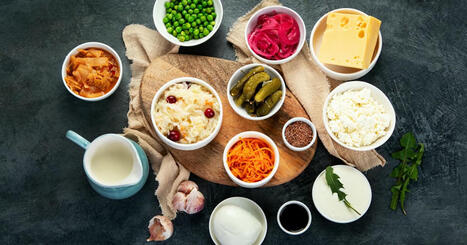 The Powerhouse of Probiotic and Prebiotic for Body Care | Call: 915-850-0900 | The Gut "Connections to Health & Disease" | Scoop.it