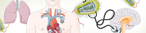 3000 illustrations médicales libres de droits pour enrichir vos présentations | Pédagogie & Technologie | Scoop.it