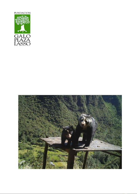 Monitoring of the Andean Bear Population (Tremarctos Ornatus) in Zuleta - North Ecuador - DocsLib | Galapagos | Scoop.it