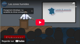 Les zones humides [VIDEO] | Environnement - D&eacute;veloppement durable - Climat | Scoop.it