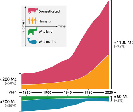 CLIMATE: The global biomass of mammals since 1850  | Revue de presse - Club DEMETER | Scoop.it