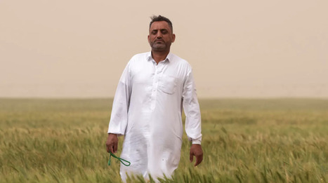 IRAQ: drought-doomed farmers turn to groundwater to boost agriculture   | ASIES | Scoop.it