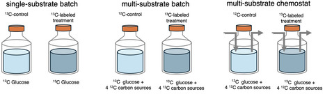 Aquatic bacterial metabolic rates from RNA quantitative stable isotope probing (RNA-qSIP) depend on experimental design | brvt | RMH | Scoop.it