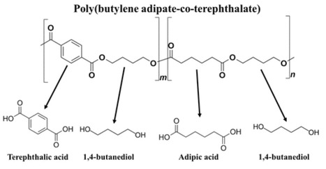 Engineering Paracoccus denitrificans PD1222 for Fusarium solani cutinase-mediated biodegradation of poly(butylene adipate-co-terephthalate) | aem | RMH | Scoop.it