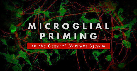 Microglial Priming in the Central Nervous System | El Paso, TX Chiropractor | Call: 915-850-0900 | Neuropathy "The Painful Enigma" | Scoop.it