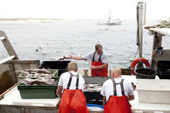 Too Few Fish in the Sea - A Disappearing Commodity | OUR OCEANS NEED US | Scoop.it