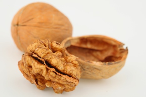 Whole Health Medicine: Bach's Walnut for Smoother Transitions | homeopath | Scoop.it