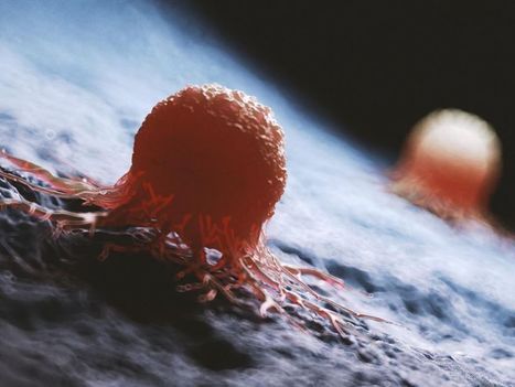 Metabolically armored CAR-T cells demonstrate lasting efficacy against solid tumors | Genetic Engineering Publications - GEG Tech top picks | Scoop.it