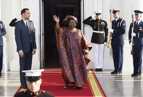 Guest list for the African Summit dinner at the White House | Africa's Development, Trade, Finance | Scoop.it