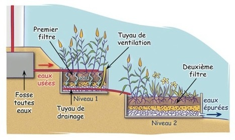 Phytoépuration : une solution d'épuration individuelle naturelle | Immobilier | Scoop.it