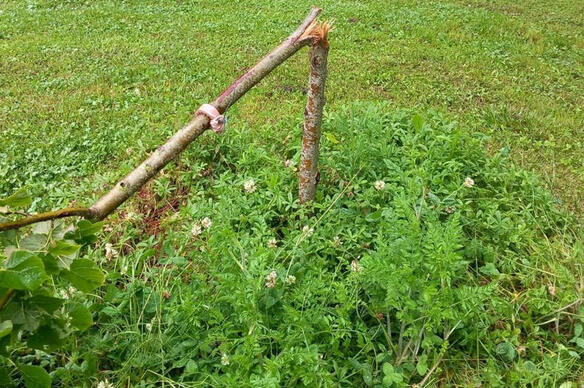 Face aux espaces verts vandalisés chaque année, cette maire exprime son ras-le-bol