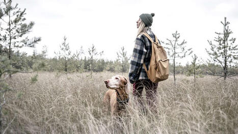 Kaupallinen yhteisty&ouml; Bare: T&auml;m&auml; trendi n&auml;kyy nyt koiraperheiss&auml; &ndash; Lemmikin hyvinvointi ylitse muiden | 1Uutiset - Lukemisen t&auml;hden | Scoop.it