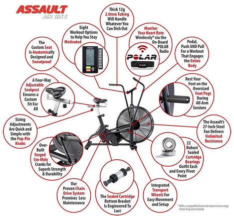 lifecore fitness assault air bike