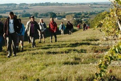 Une variante des chemins de Saint-Jacques - SudOuest.fr | Cheval et Nature | Scoop.it