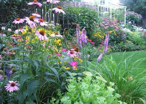 A Guide to Successfully Designing a Perennial Garden | 1001 Gardens ideas ! | Scoop.it