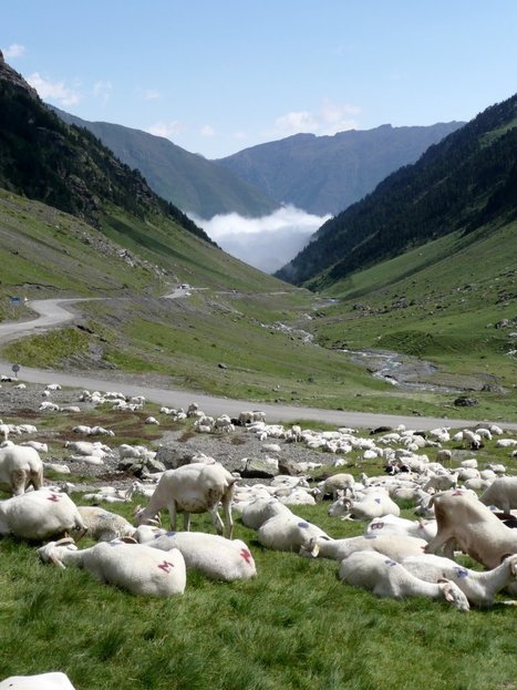 13.000 signatures contre l'UTN - Hautes-Pyrénées : Ladépêche.fr | Vallées d'Aure & Louron - Pyrénées | Scoop.it