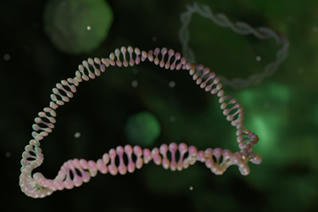 Assessing pDNA Purity For Cell Gene Therapies - by Brian Glass, Pharmatech Associates | Pharmatech Associates articles: technical expertise for the regulated life science industry | Scoop.it