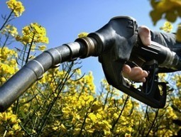 Les aides à la production des biocarburants | Questions de développement ... | Scoop.it
