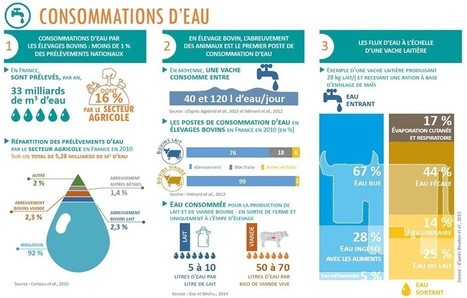 La qualité de l’eau est-elle sous-estimée? | Lait de Normandie... et d'ailleurs | Scoop.it