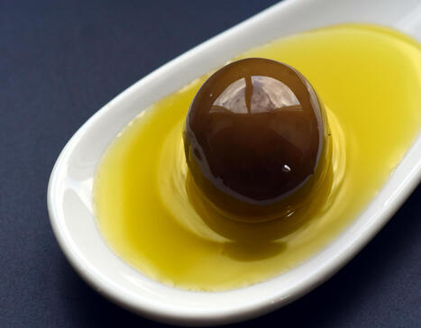 L'agricoltura biologica aumenta il contenuto fenolico dell'olio di oliva | OLIVE NEWS | Scoop.it