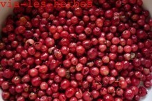 Le poivre renforce l'action des anti-inflammatoires | Epices, aromates, poivre et vanille | Scoop.it