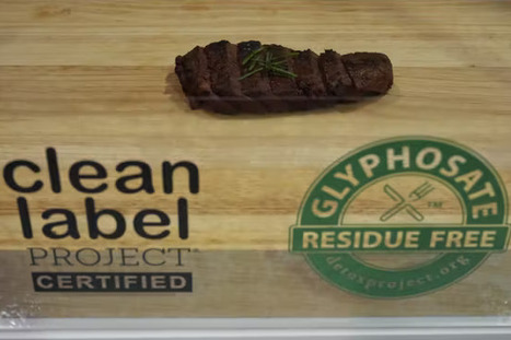 &laquo; Steak v&eacute;g&eacute;tal &raquo; : la d&eacute;nomination va &ecirc;tre interdite dans l&rsquo;UE, mais pas celles de &laquo; saucisse &raquo; ou de &laquo; burger v&eacute;g&eacute;tarien &raquo; | AGROALIMENTAIRE | Scoop.it