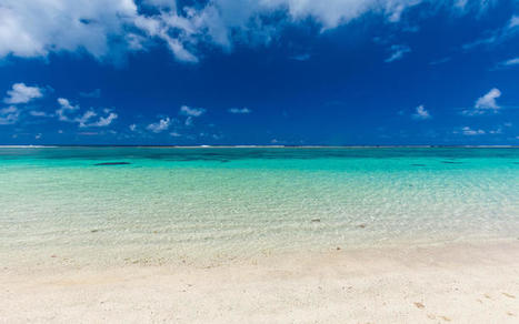 Samoa commits to preserve 30 percent of its ocean | Biodiversité | Scoop.it