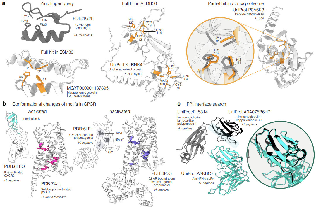 Structural motif search across the protein-univ...