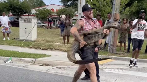 VIDÉO - Un homme capture à mains nues un alligator de 2,40 mètres qui terrorisait le quartier | Biodiversité - @ZEHUB on Twitter | Scoop.it