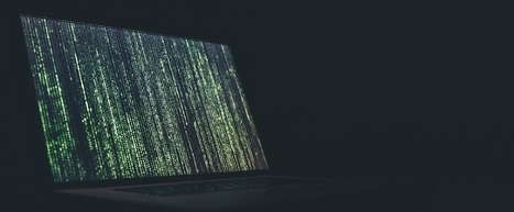 Les biais cognitifs, une erreur dans la matrice ? #404.1 - Performanse | Économie comportementale | Scoop.it
