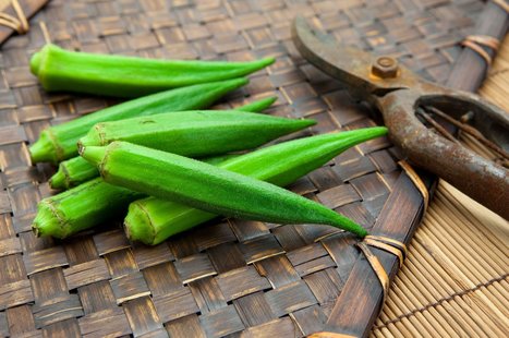 Okra beats waste: Scientists use plants to tackle microplastics | Industry 411 - Waste Management | Scoop.it