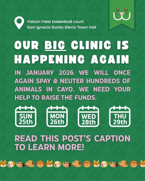 CAWS Spay & Neuter Clinic January 2026 | Cayo Scoop!  The Ecology of Cayo Culture | Scoop.it