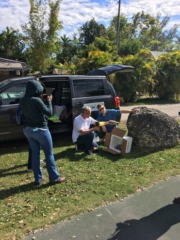 À Miami, les lâchers de moustiques infectés par la bactérie Wolbachia ont donné des résultats prometteurs | EntomoNews | Scoop.it