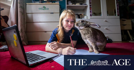 Growth in high school students choosing vocational VCE in Victoria | The Student Voice | Scoop.it
