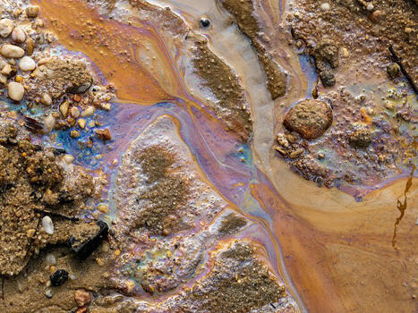 ENVIRONMENT: 242 million hectares of global agricultural land polluted by toxic heavy metals | DURABILITES | Scoop.it