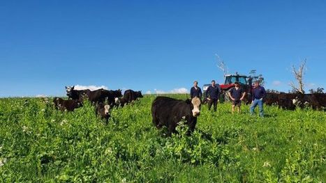 How to make more dirt down on the farm and get paid for it - ABC News (Australian Broadcasting Corporation) | Stage 5 Sustainable Biomes | Scoop.it