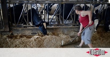 Cultiv'Actrices : vingt projets de femmes pour changer l'agriculture - Libération | Agriculture et communication positive | Scoop.it