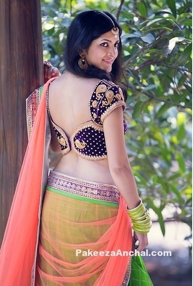 Designer Wear Blouse with Embroidery Mango Motifs for Blouse back Designs | Indian Fashion Updates | Scoop.it