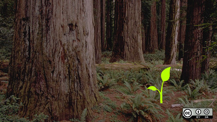 CfP: The Materiality of the Immaterial: ICTs and the Digital Commons | Peer2Politics | Scoop.it