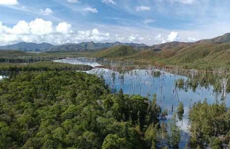 Groupe Zones Humides | Biodiversité | Scoop.it