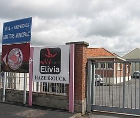 L'abattoir d'Hazebrouck ne rouvrira pas cette semaine, les autorit&eacute;s sanitaires devraient donner leur avis &agrave; la fin du mois | La Gazette des abattoirs | Scoop.it