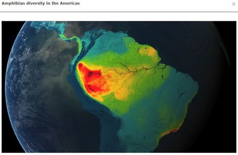 TECH: &nbsp;Mapping the World's Biodiversity | Rainforest CLASSROOM | Scoop.it