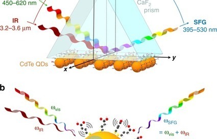 LCP science - Communications Chemistry first year anniversary collection | Infos Lab' avril 2025 | Scoop.it