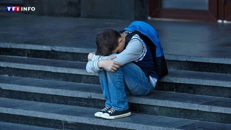 B1 - Près d'un lycéen sur dix déclare avoir déjà fait une tentative de suicide | articles FLE | Scoop.it