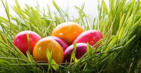 Pasqua, decorazioni fai-da-te: cesti verdi | Consumo Critico, Decrescita, Riuso e Riciclo Creativo | Scoop.it