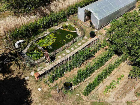 Jardiner Autrement en faveur du climat et de la biodiversité : les jardins récompensés en 2025 | Environnement - Énergie | Scoop.it