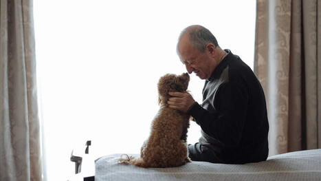 Losing a dog is the same as losing a family member, say grieving pet-owners | Grief & Bereavement Counseling | Scoop.it